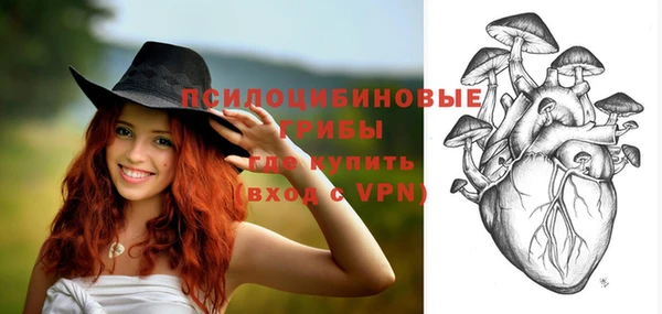 молекула духа Волоколамск