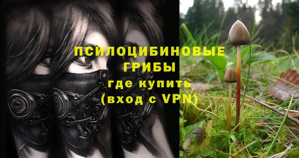 молекула духа Волоколамск