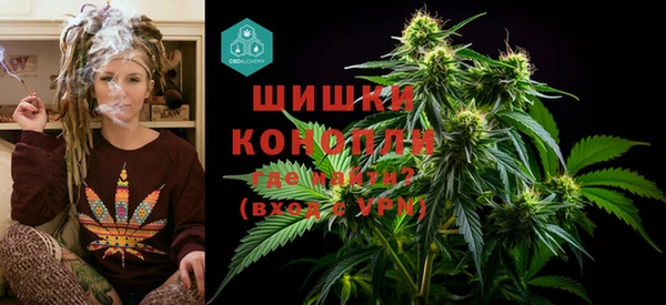 молекула духа Волоколамск
