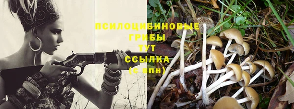 молекула духа Волоколамск
